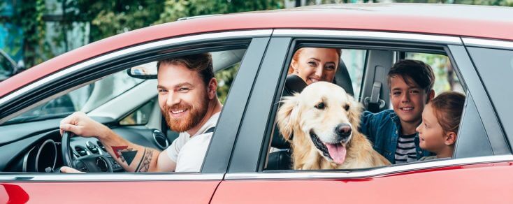 ביטוח רכב פרטי
