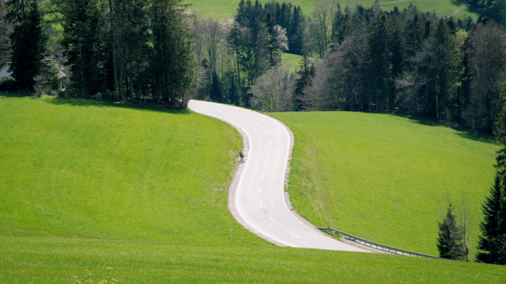 היער השחור עם ילדים – מסלולים, טיפים וביטוח נסיעות חשוב